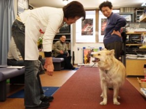 だいすけくんと川見店主