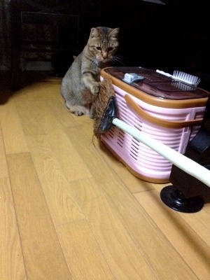 やだな